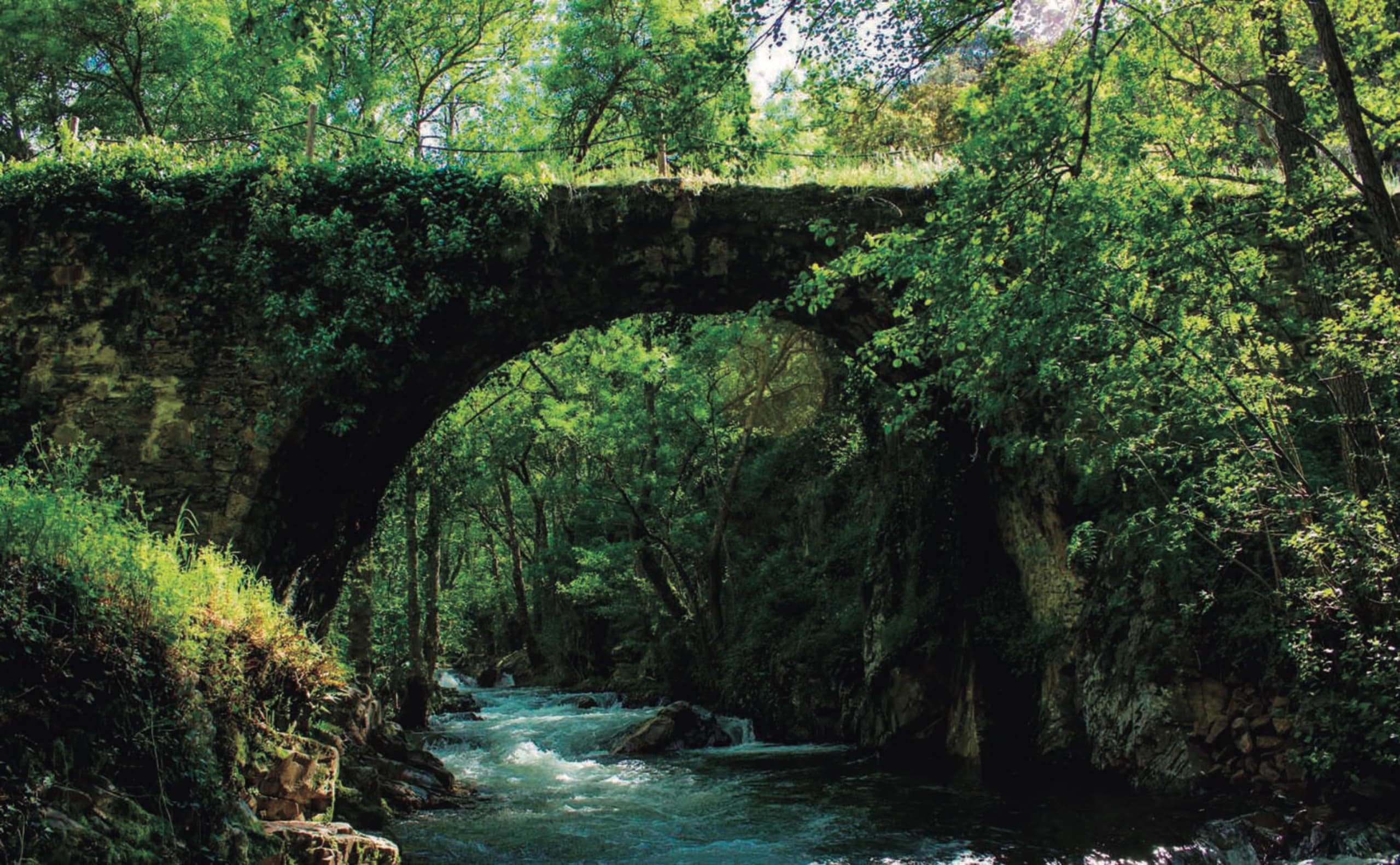 Las Puentes de Malpaso