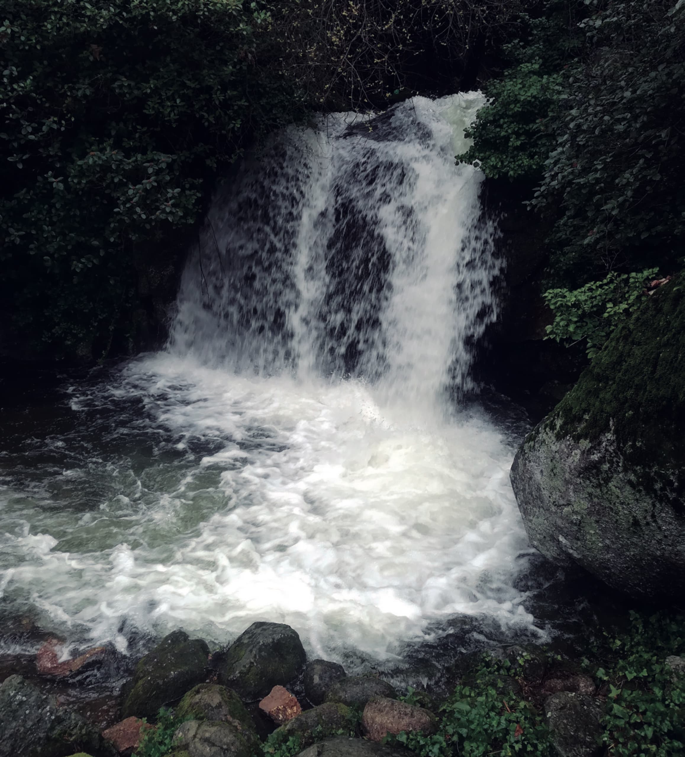 Charco de La Chorrera