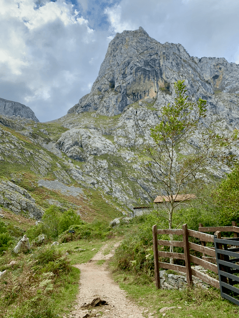 L'arbre de taronja / Picu Urriellu de Bulnes