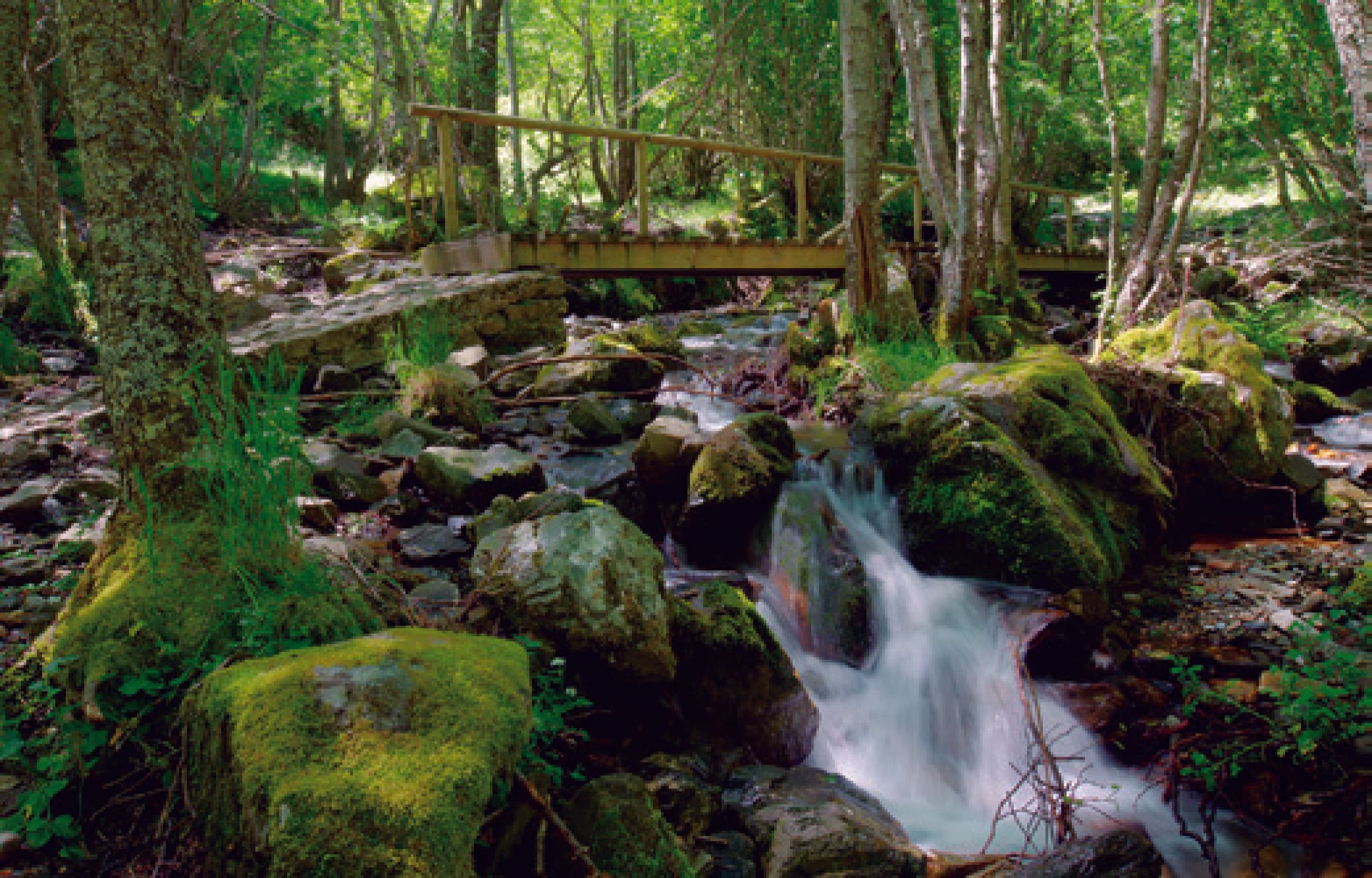Ruta de la Cueva de San Genadio y montes de Valdueza