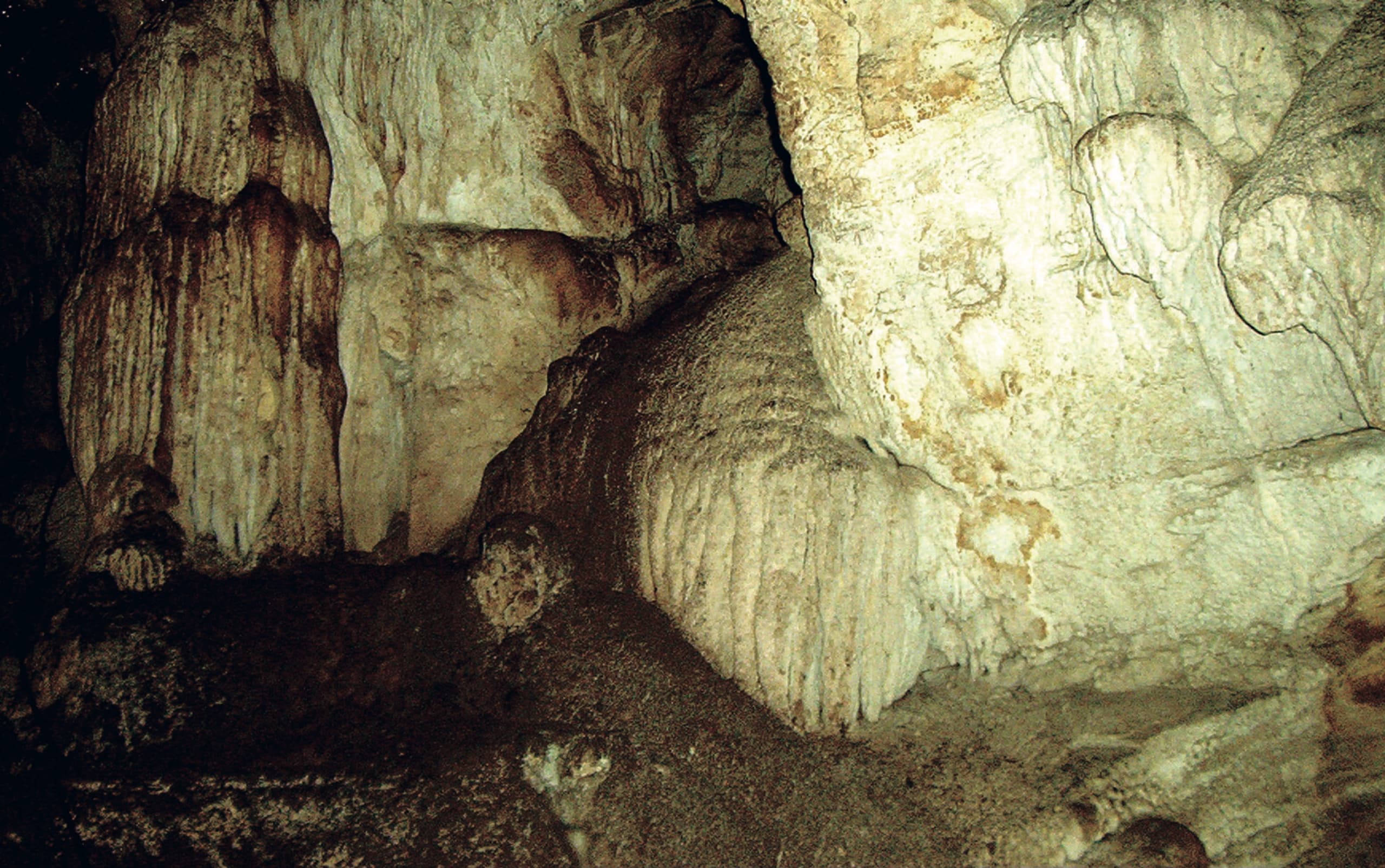 Cueva de O Rei Cintolo
