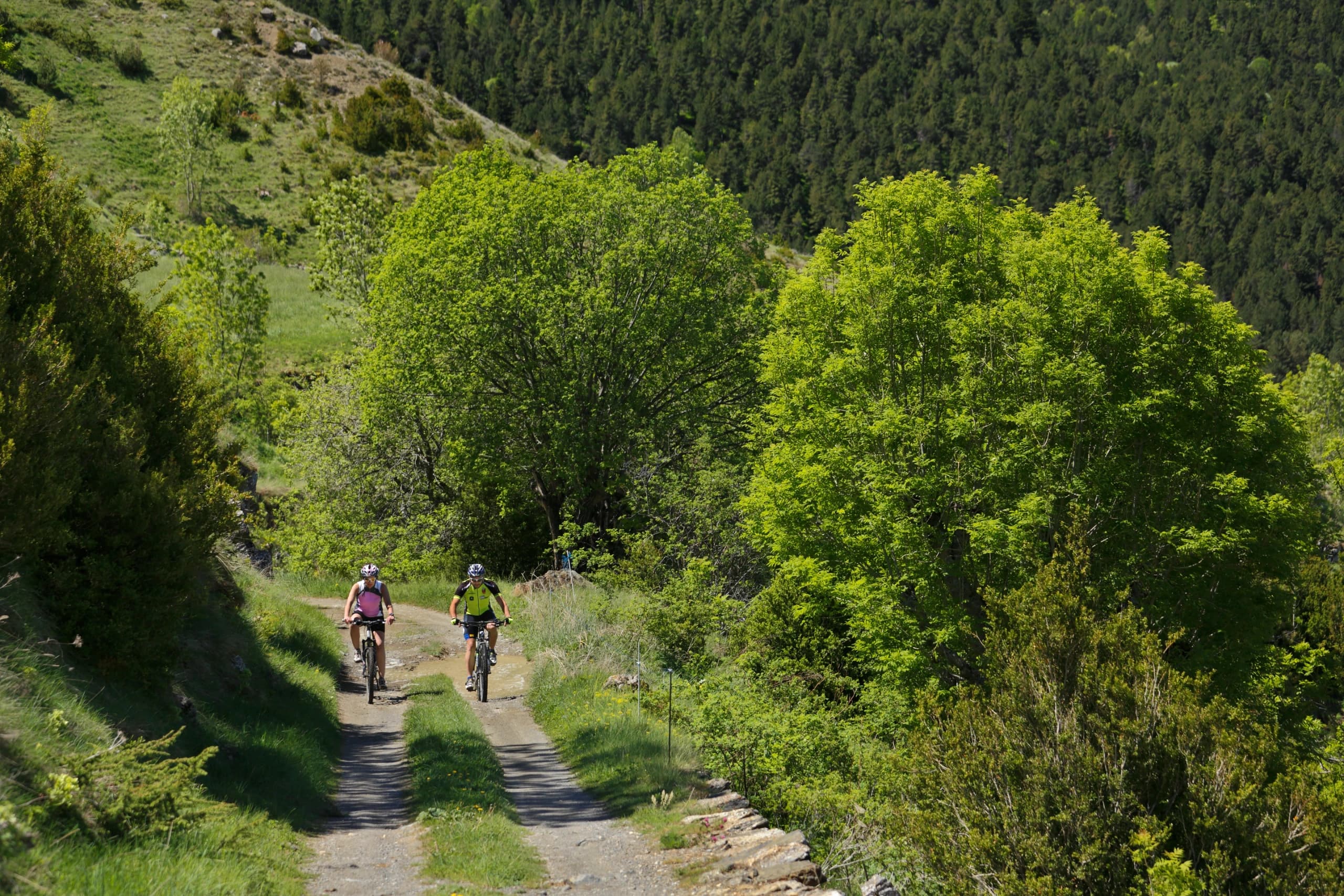 Outdoor Park Vall de Boí