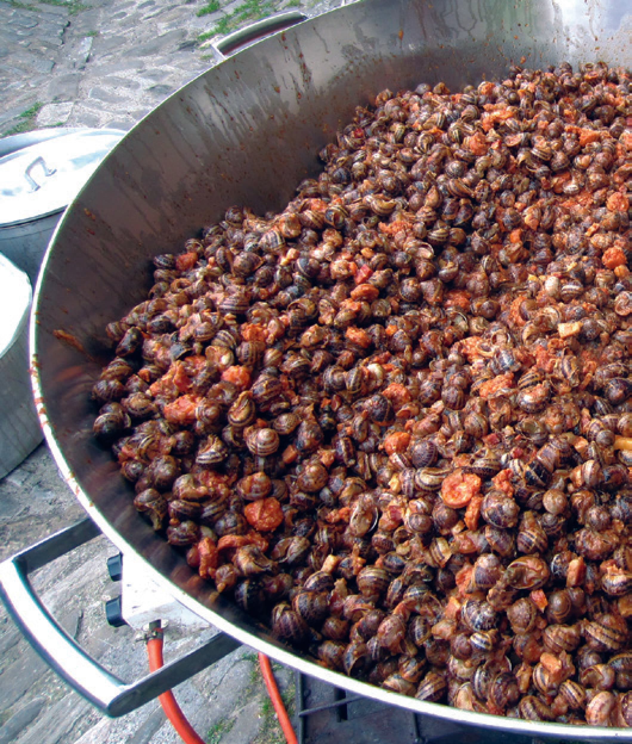 Caracoles