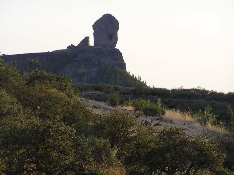 Roque Nublo