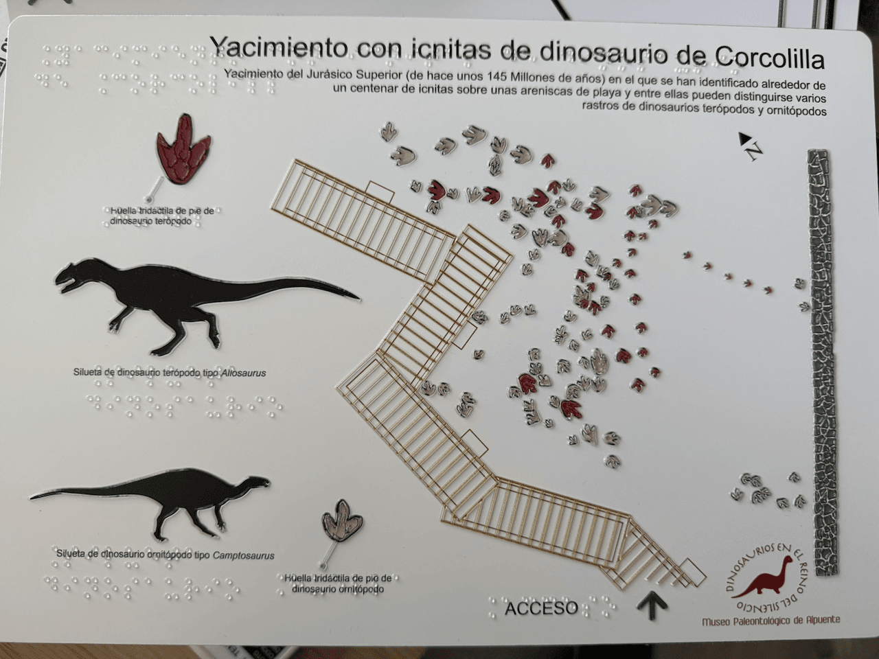 Museo Paleontológico de Alpuente