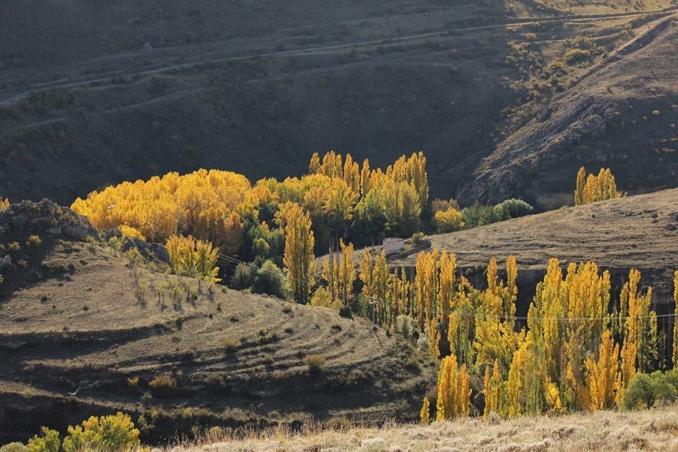 Senda de la Glorieta