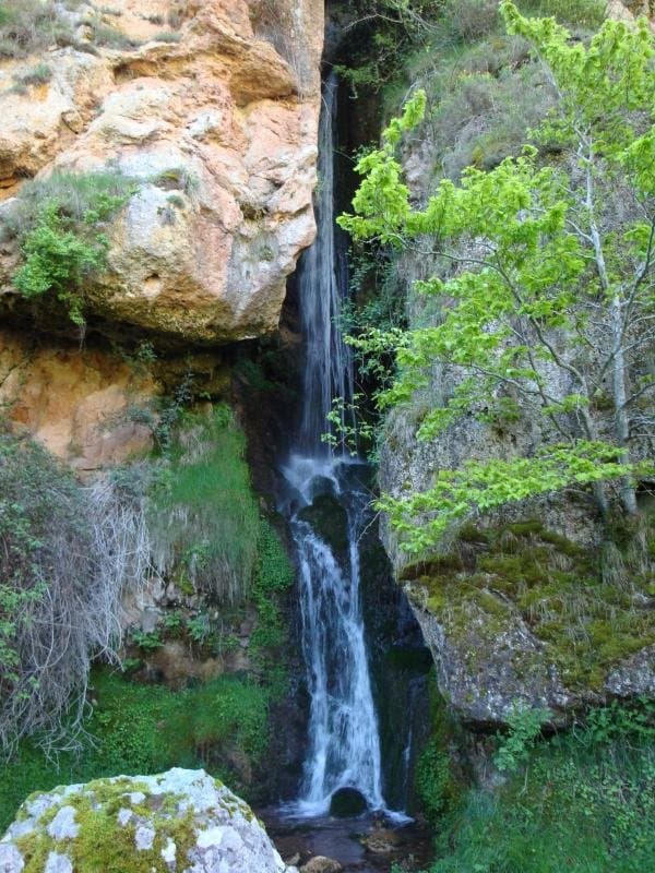 Picos de Urbión