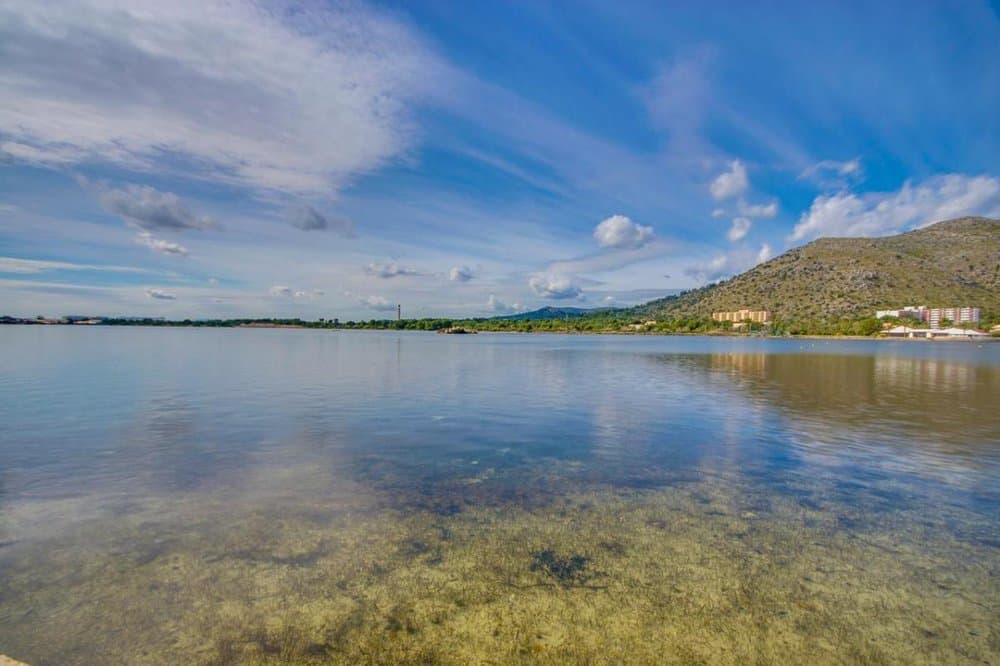 Estany dels Ponts