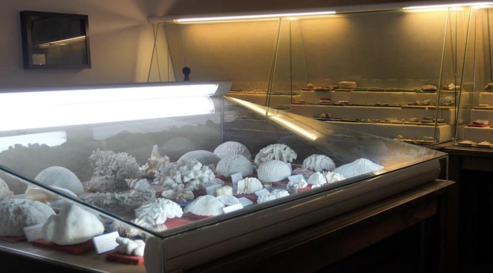 Museo Iglesia de San Bartolomé