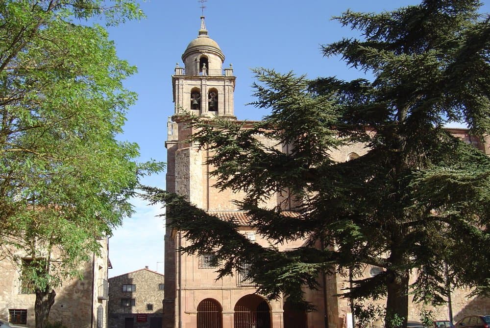 Colegiata de Santa María la Mayor