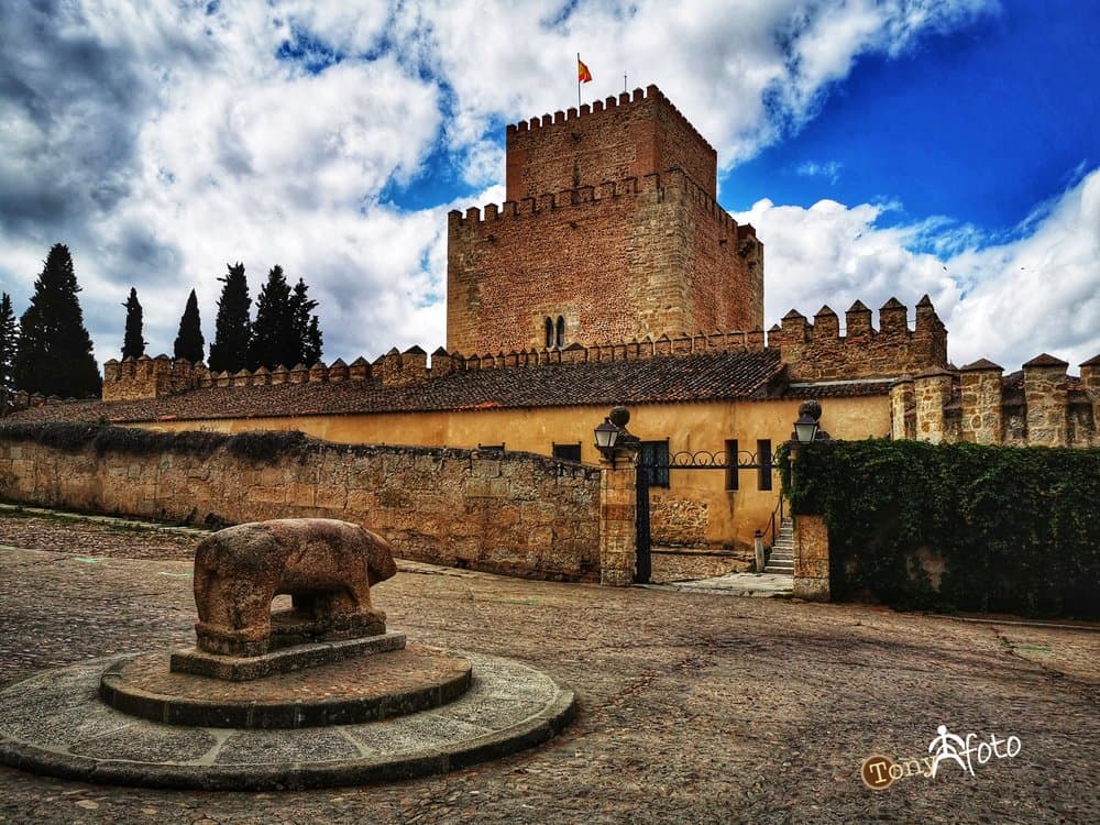 Castillo de Enrique II de Trastámara