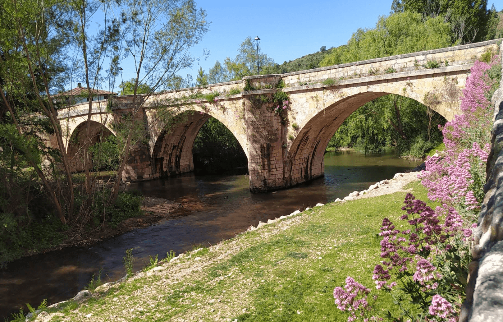 Río Arlanza y crucero gótico