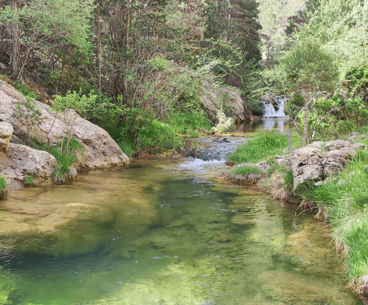 El Pozo Navarro