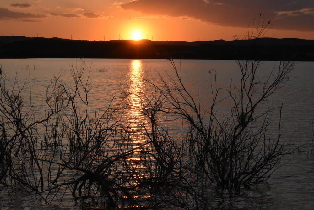 Monteagudo de las Vicarías - foto 3