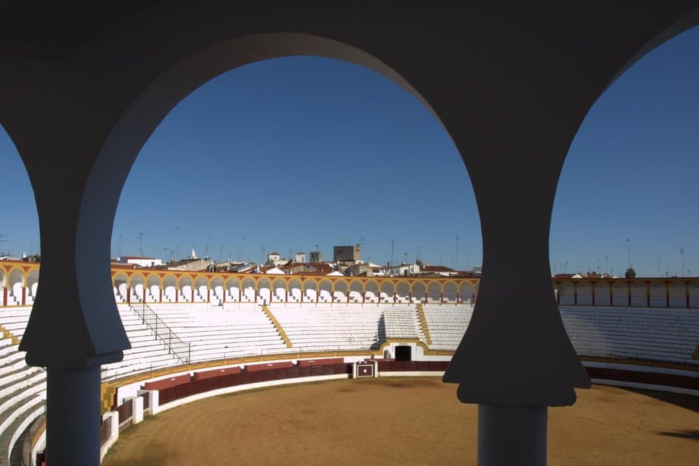 Olivenza - foto 6