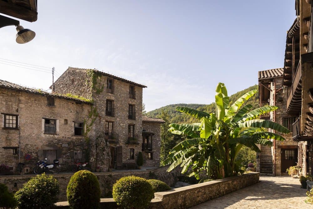 Beget - foto 3