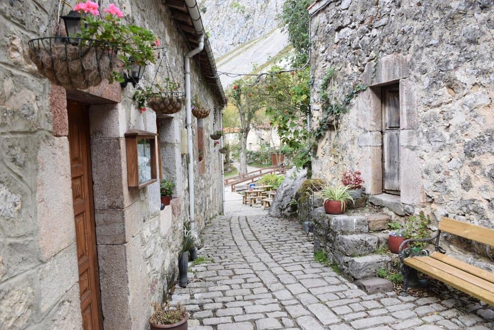 Bulnes - foto 3