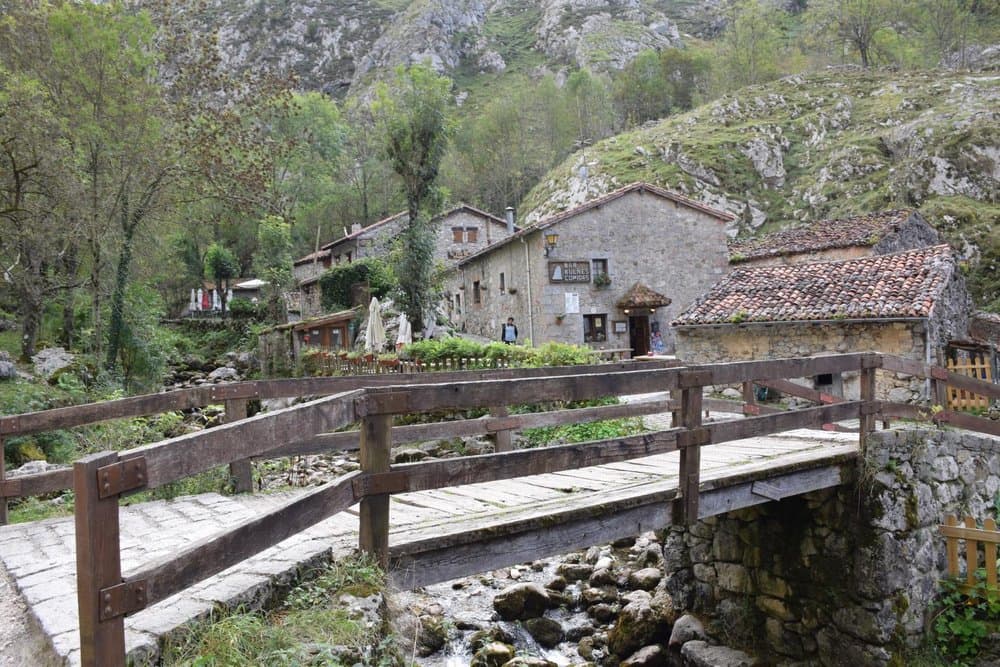 Bulnes - foto 5