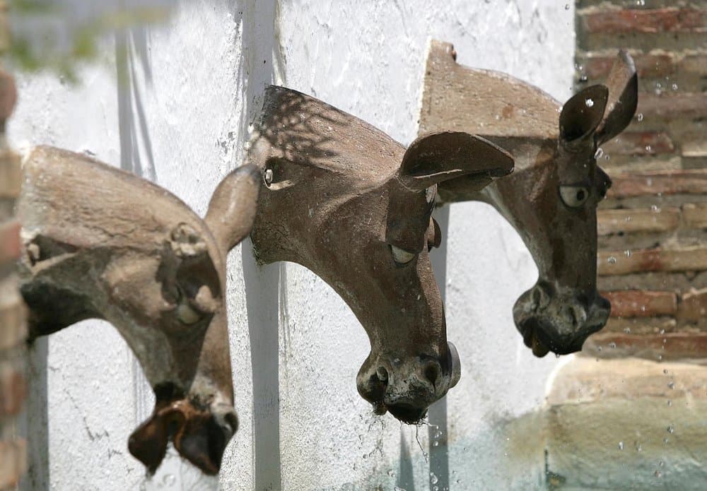 Genalguacil - foto 3