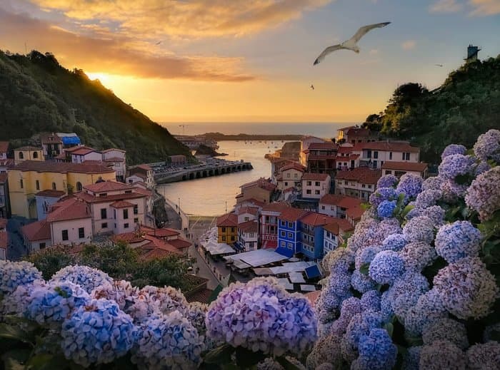 Cudillero - foto 1