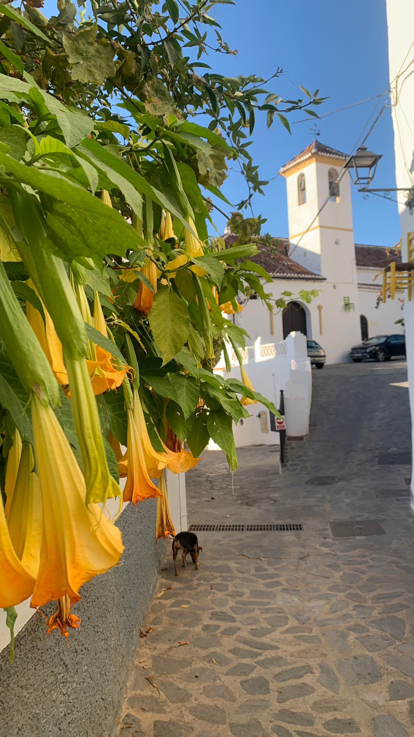 Parauta, Málaga - Los Pueblos Más Bonitos de España - Galería foto 3
