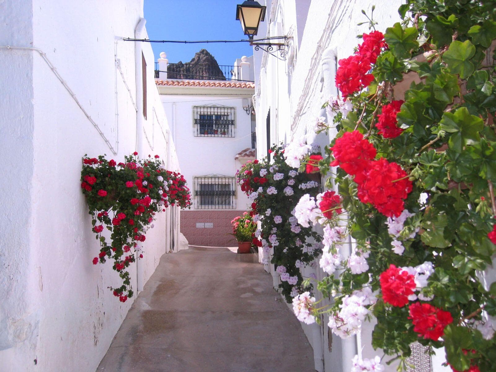 Lucainena de las Torres - foto 1