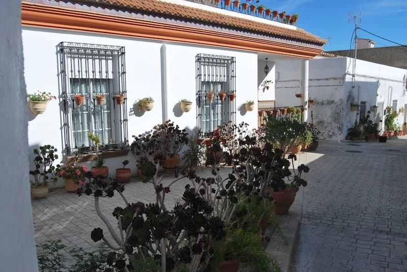 Lucainena de las Torres - foto 3