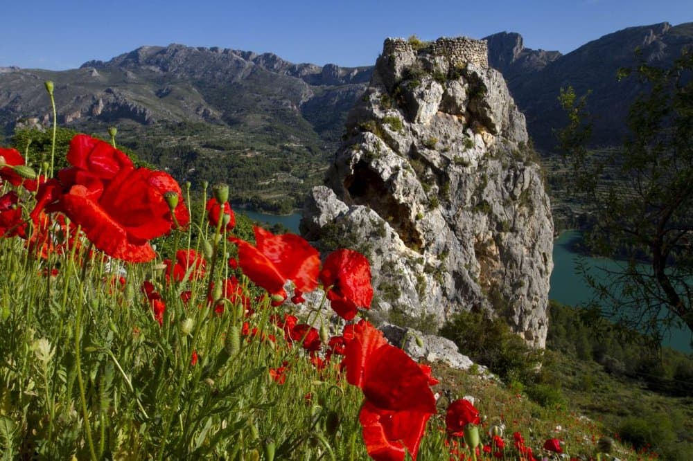 El Castell de Guadalest - foto 2