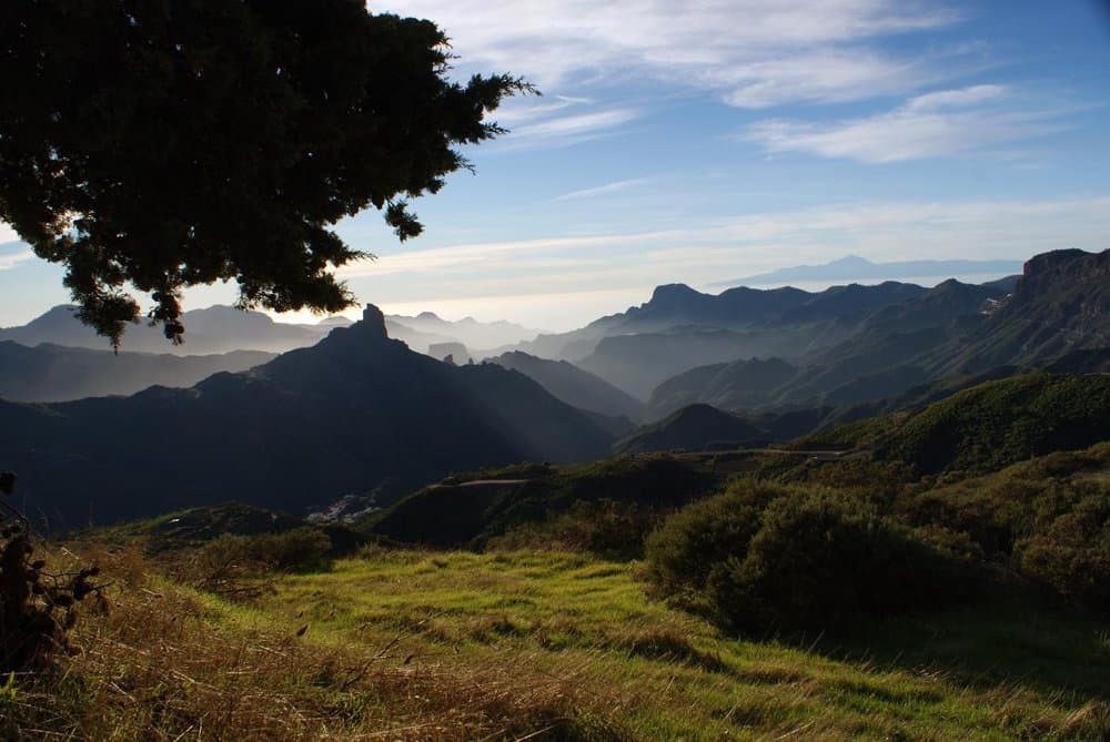Tejeda - foto 4