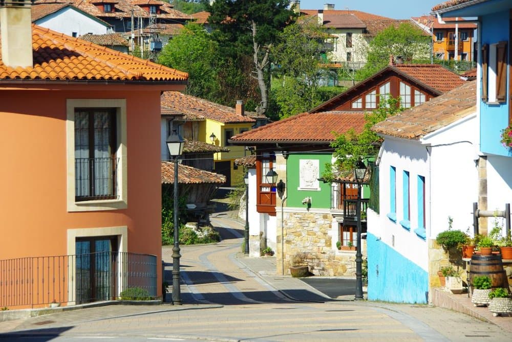 Torazu - foto 2