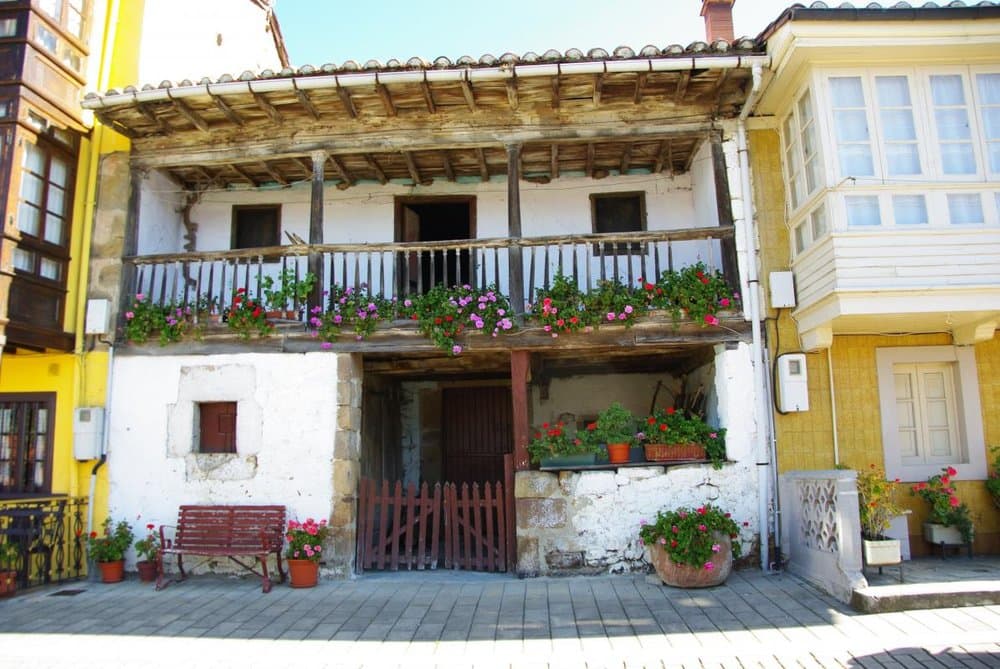 Torazu - foto 3