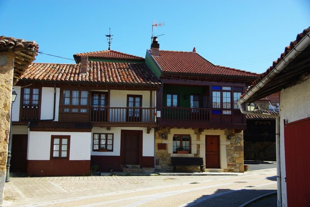 Torazu - foto 4