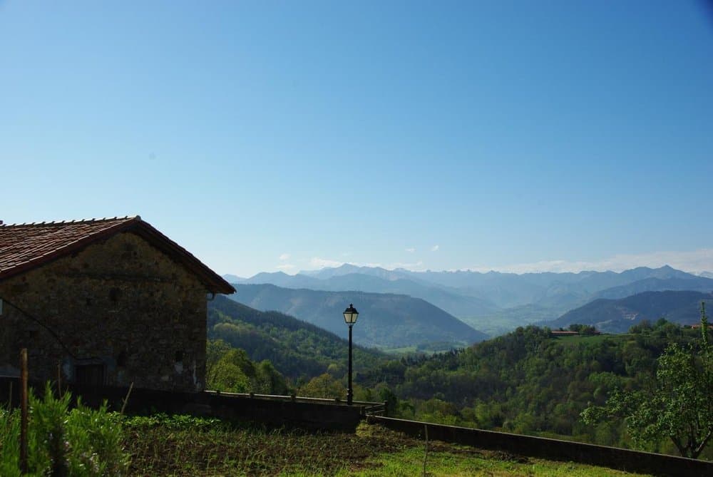Torazu - foto 5