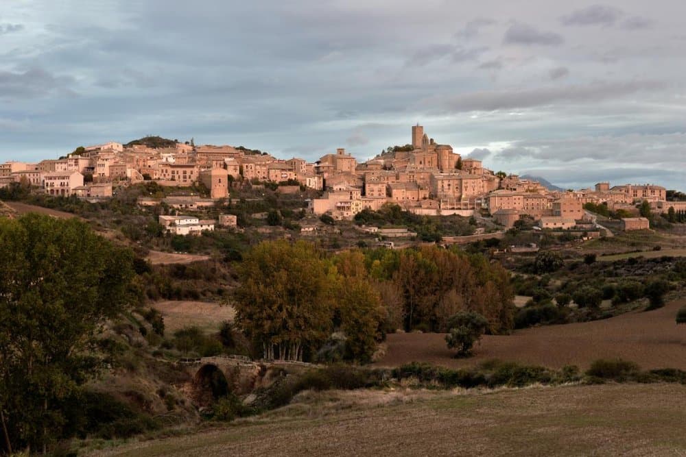 Sos del Rey Católico - foto 4