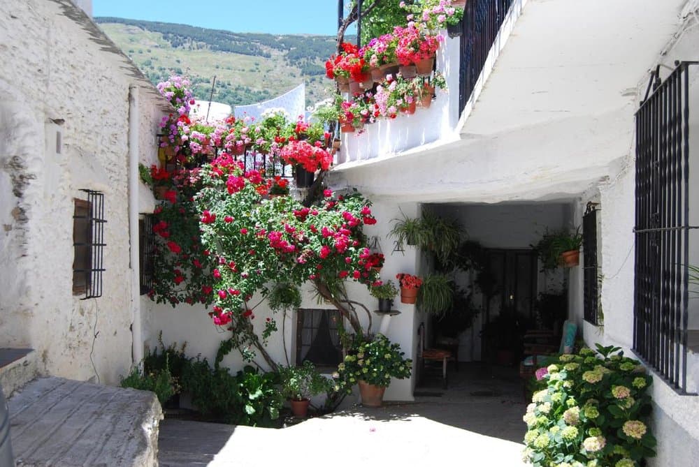 Capileira - foto 2