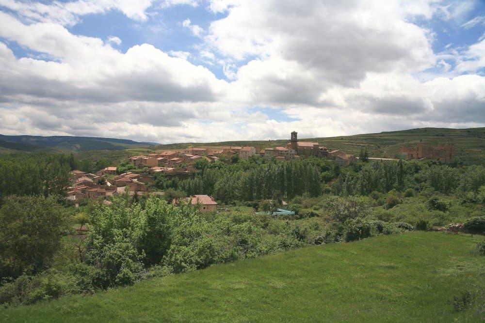 Yanguas - foto 2