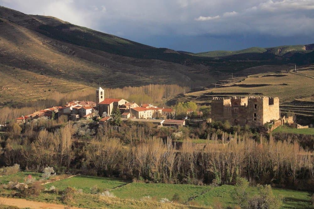 Yanguas - foto 3