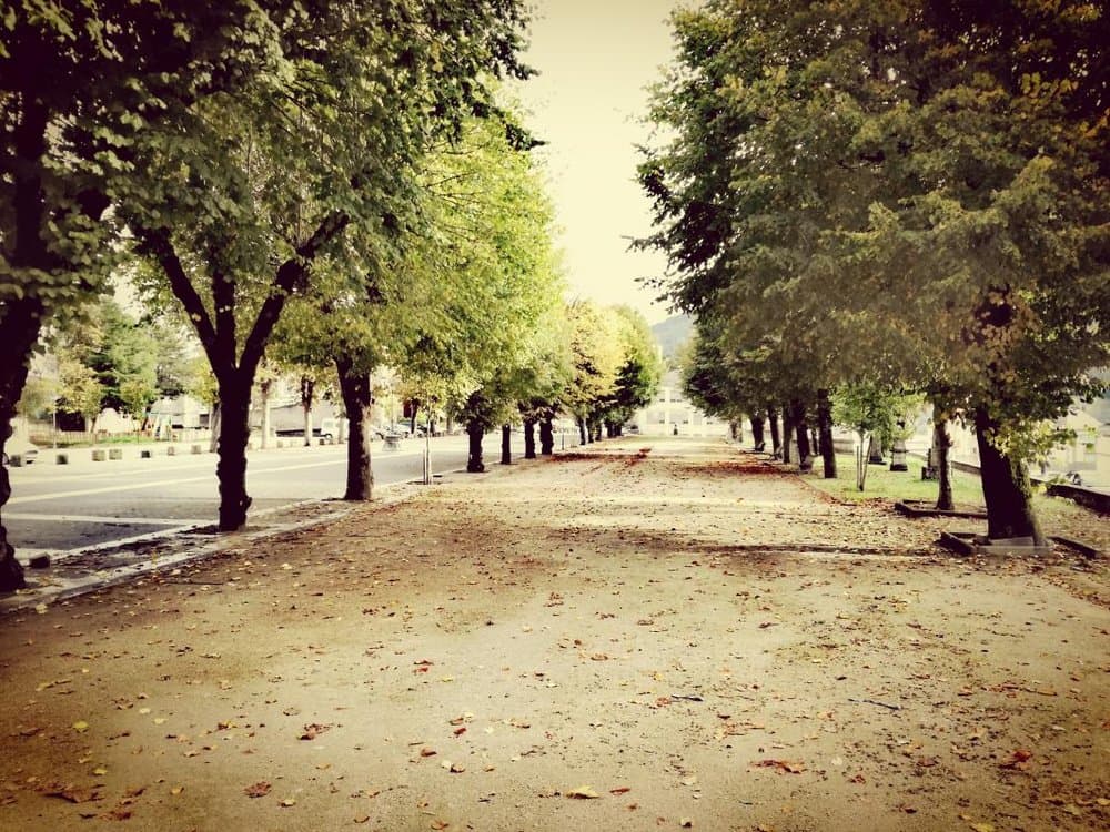 Mondoñedo - foto 5