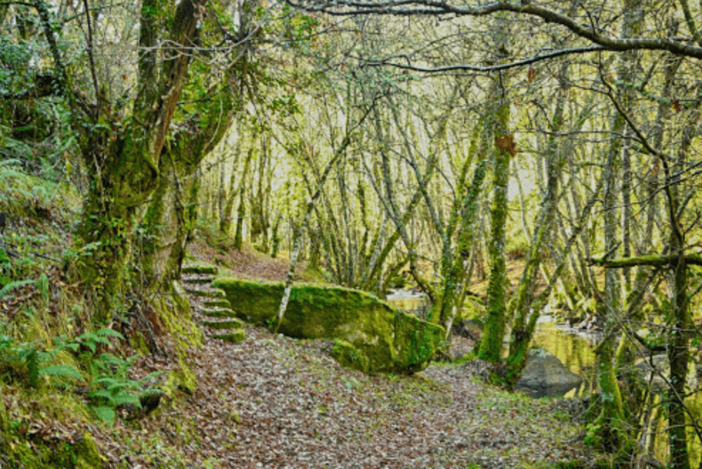 Castro Caldelas - foto 5