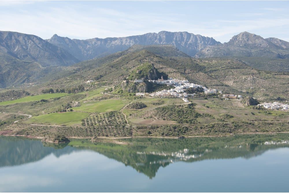 Zahara - foto 3