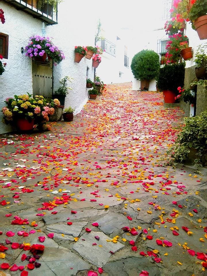 Bubión - foto 5
