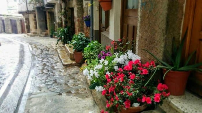 San Martín de Trevejo - foto 2