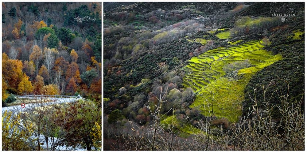 San Martín de Trevejo - foto 6