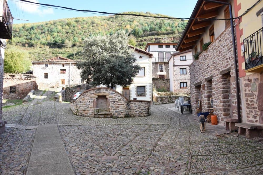 Viniegra de Abajo - foto 3