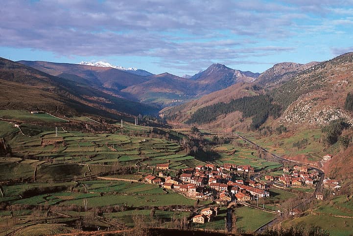 Carmona - foto 4