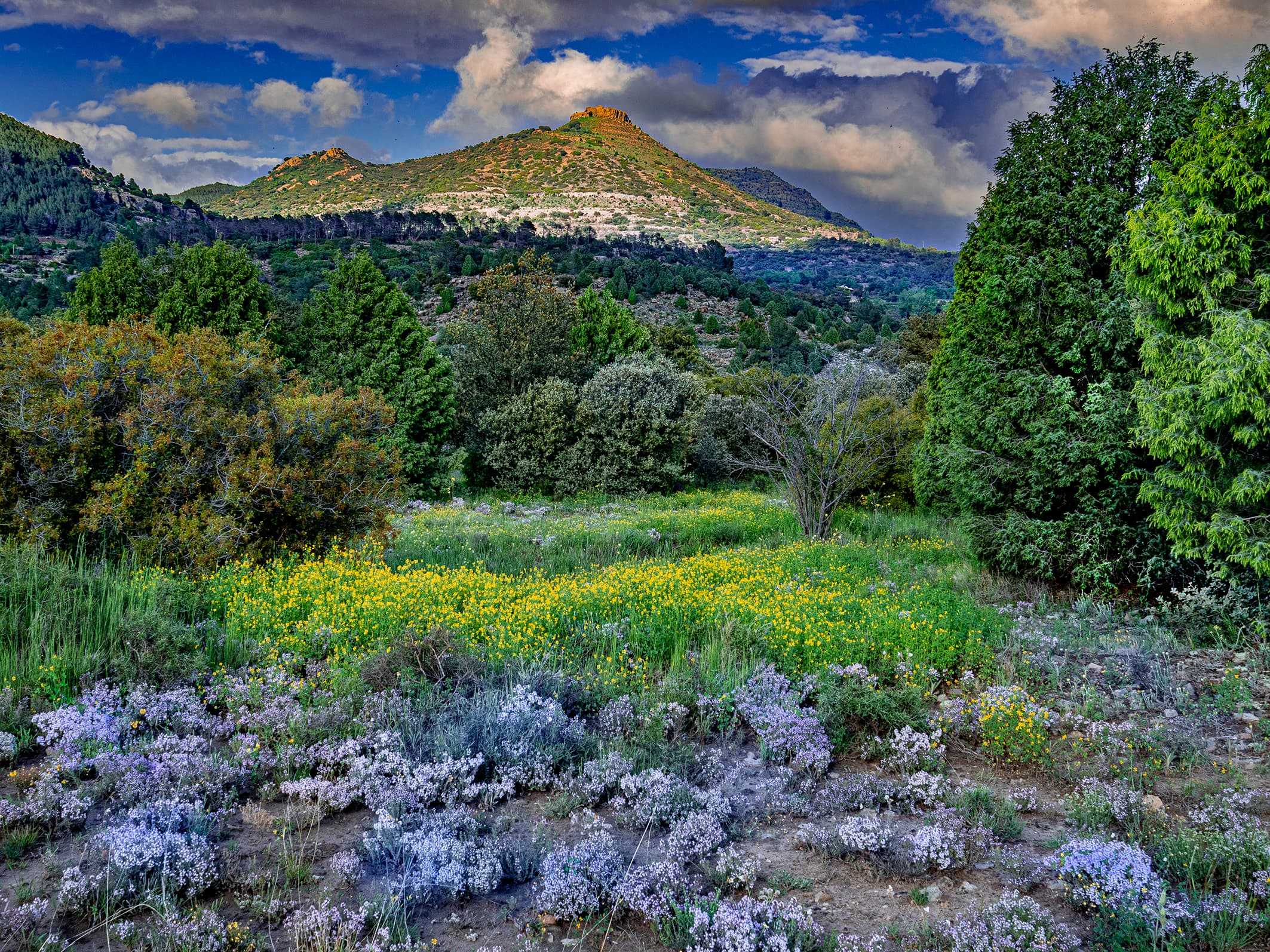 Ruta senderista a la ermita de Santa Isabel