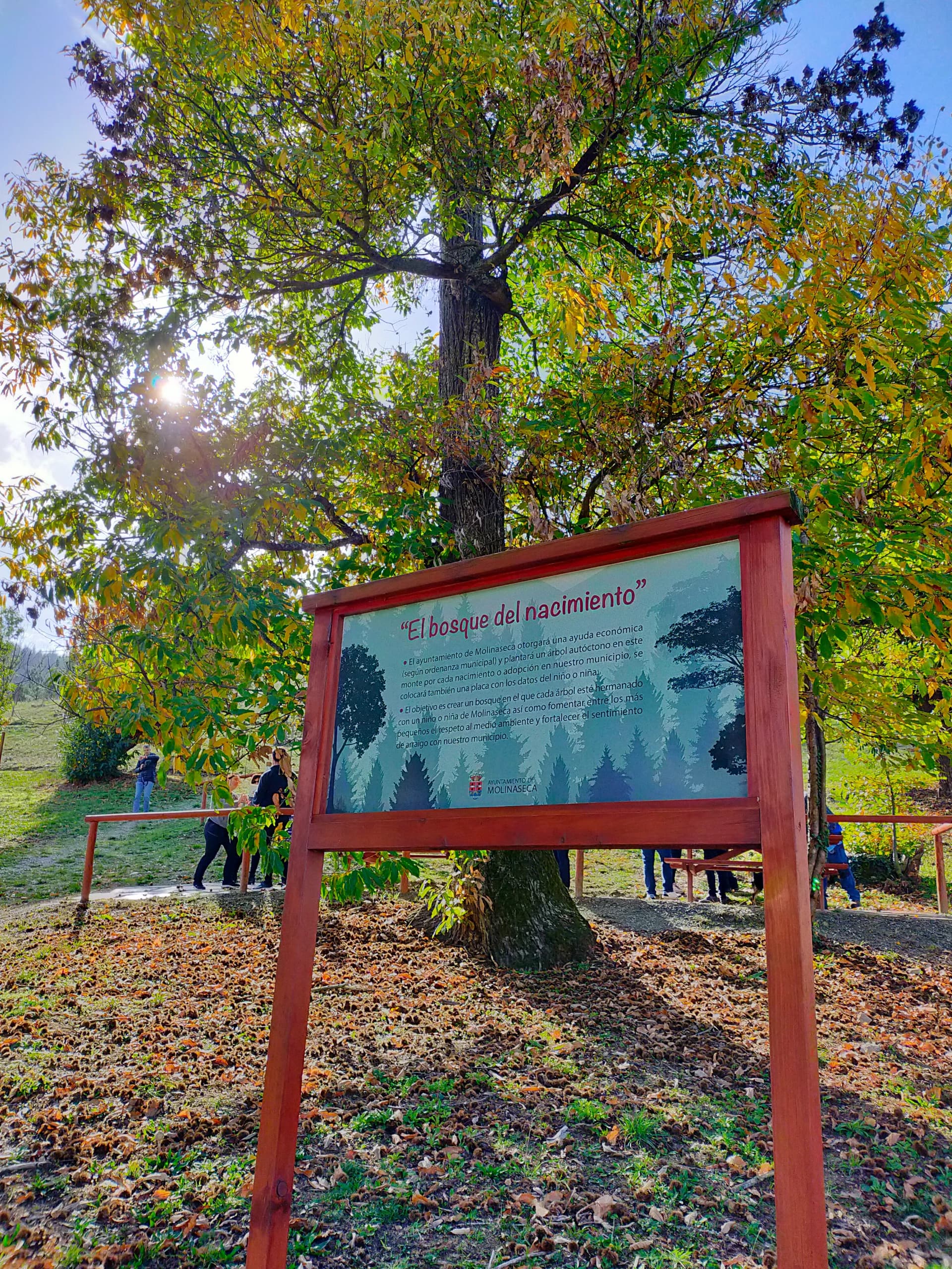 Bosque del Nacimiento