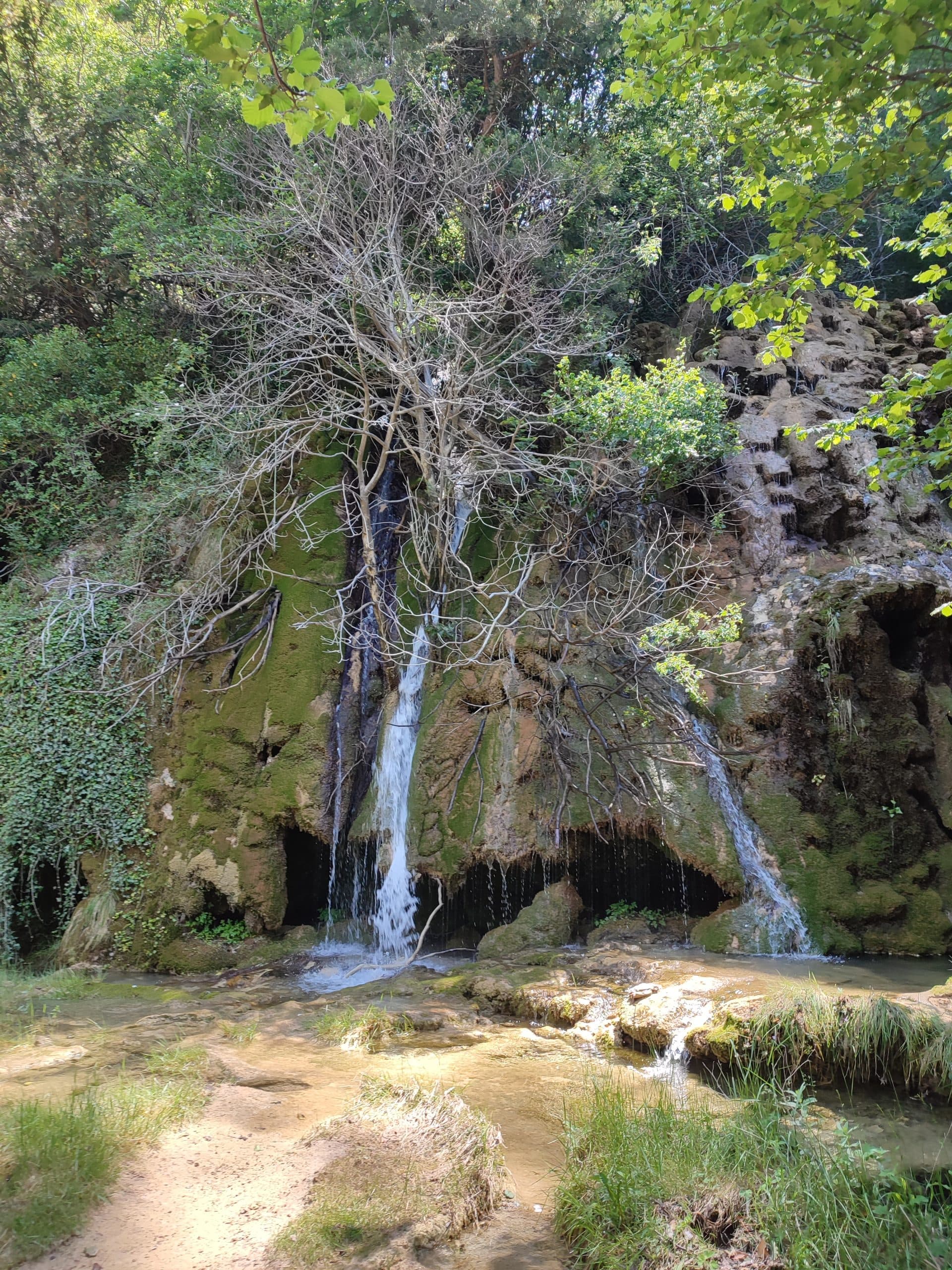 CHORROS EL MOLINETE