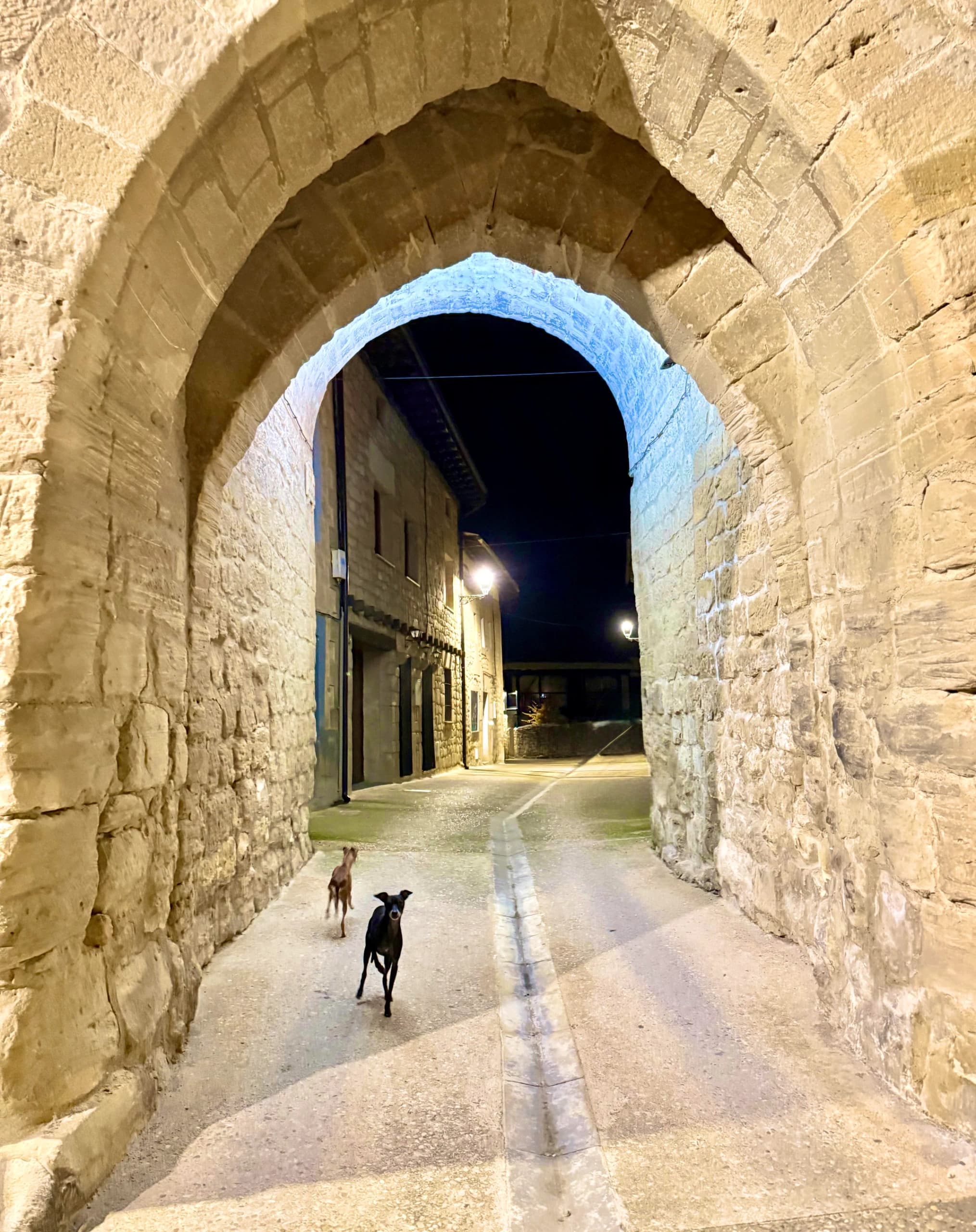 Santa Gadea del Cid con perro: Historia, murallas y patitas felices