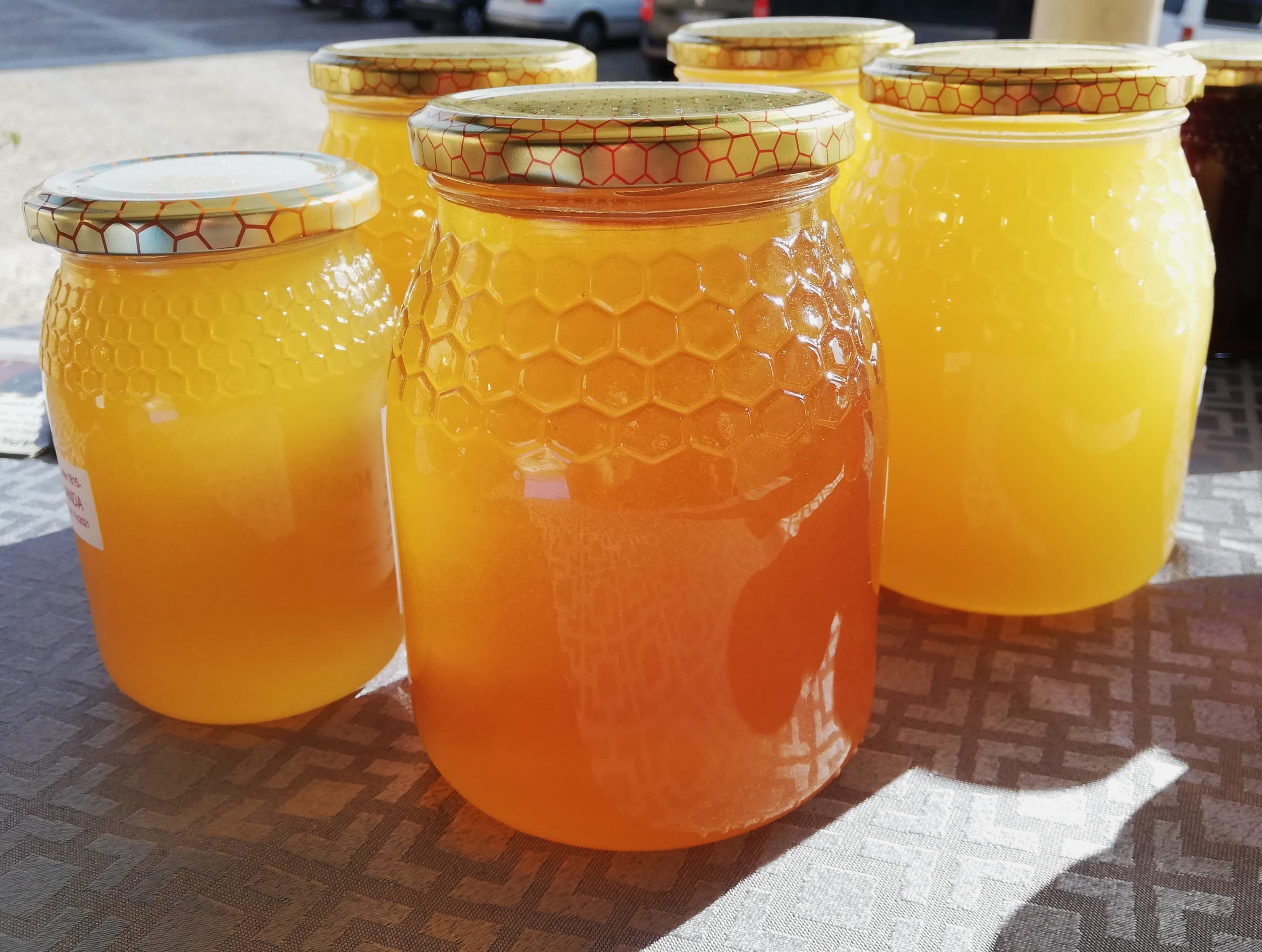 Miel de la Alcarria y quesos artesanos